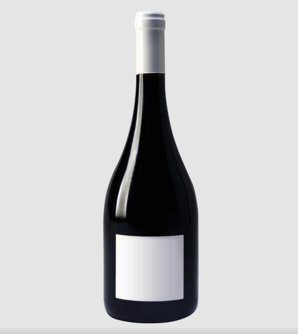 Wine Bottle
